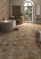 Hexagono Physis Bold 15x17-3