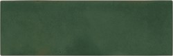 Bejmat Olive Gloss 15x5