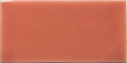Fayenza Coral 6,2x12,5