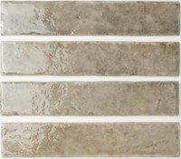 Potters Fossil 5x25-2