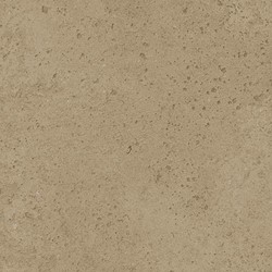 Root Mellow 13x13