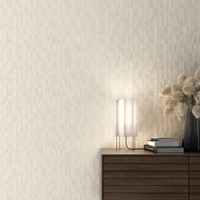 Savoiardi-R Tutti Frutti 45x120-2