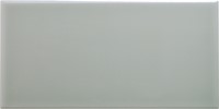 Neri Liso 10x20 Silver Mist