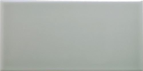 Liso 10x20 Silver Mist SN1620 € 83,95 m²