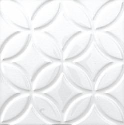Neri Liso Botanical Blanco Z 15x15