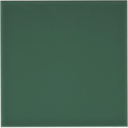 Rivièra Liso Rimini Green 10x10