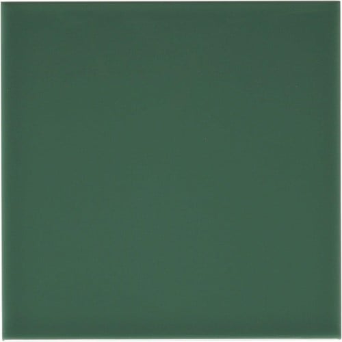 Rivièra Liso Rimini Green 10x10