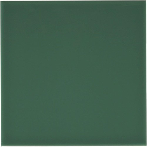 Rivièra Liso Rimini Green 20x20
