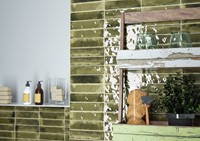 Jazba Olive Brillo 6x24,6-3