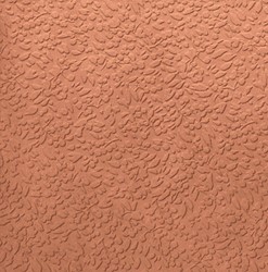 Argillae Nisus Coral Rect 60x60