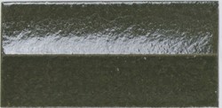 Arka Ona Green 5,8X11,6
