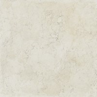 Marmorea Biancone Ret. 60x60