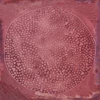 Luca Carlo Granate 20x20