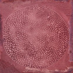 Luca Carlo Granate 20x20