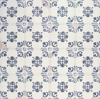Fuego Raices 22,5x22,5-2