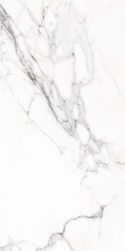 Doney-R Blanco 60x120-2