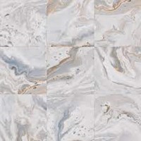 Les Bijoux Doinyo-R Polished 119,3x119,3-2