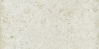 Benasal Crudo 11,5x23,1