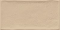 Etnia 10x20 Sienna-2