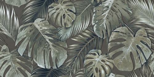 Garden Areca Dark Mate 60x120