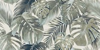 Garden Areca Light Mate 60x120