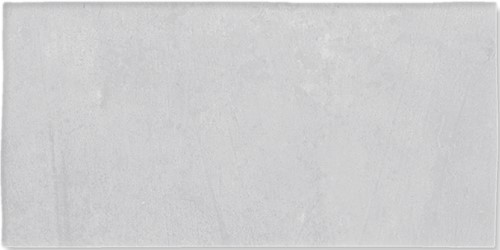 Fez Grey Matt 6,2x12,5 WF6253 € 89,95 m² LET OP nieuwe verpakkingseenheid