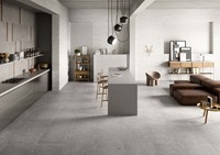 Alter Ego Grigio 20x120-3