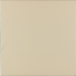 Groovy Buttercream 20x20