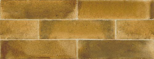 Jazba Yellow Brillo 6x24,6-2