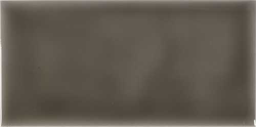 Studio Liso 9,8x19,8 Timberline