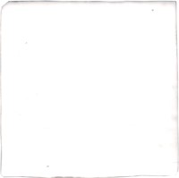Malaga Blanco 10x10