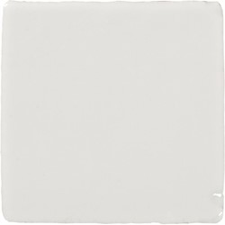 Malaga Bone 10x10