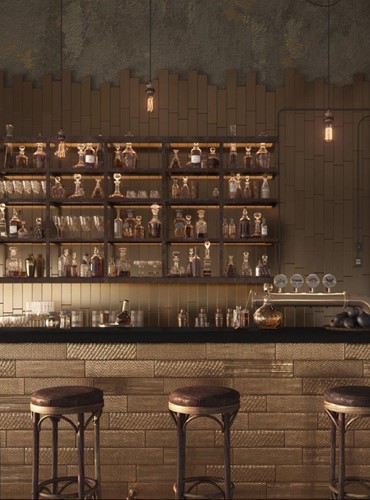 Metal Platinum 10x20-2