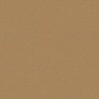 Micra-R Siena 59,3x59,3-2