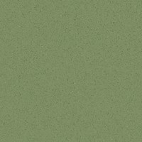 Micra-R Verde 80x80