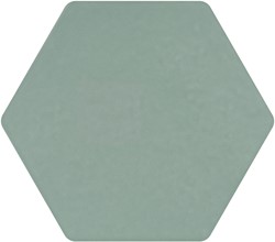 Minima8.6 Salvia 17x15
