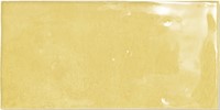 Fez Mustard Gloss 6,2x12,5