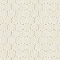 Hexagono Figuli Pearl 15x17-2