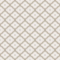 Maori Ladakhi Musgo 20x20-2