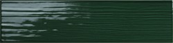 Paintboard Bottiglia 10x40