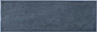 Pum Blue 10x30