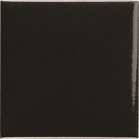 Pool Porc. Negro 10x10
