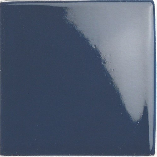 Pool Porc. Indigo 10x10