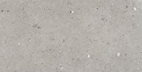 Alter Ego Grigio 60x120