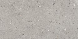Alter Ego Grigio 60x120