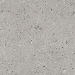 Alter Ego Grigio 60x60