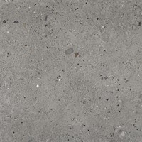 Alter Ego Grigio Scuro 60x60