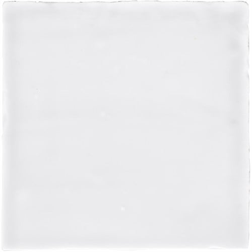 Retiro Witjes Holland Mix 10x10