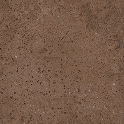Root Bold 13x13