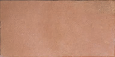 Roots XL Cotto 22x44